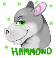 HammondJHippo